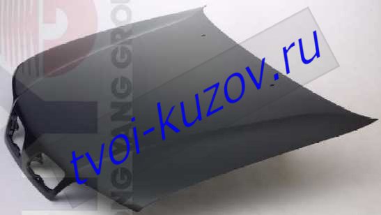 P11 КАПОТ P11 КАПОТ 651002J030